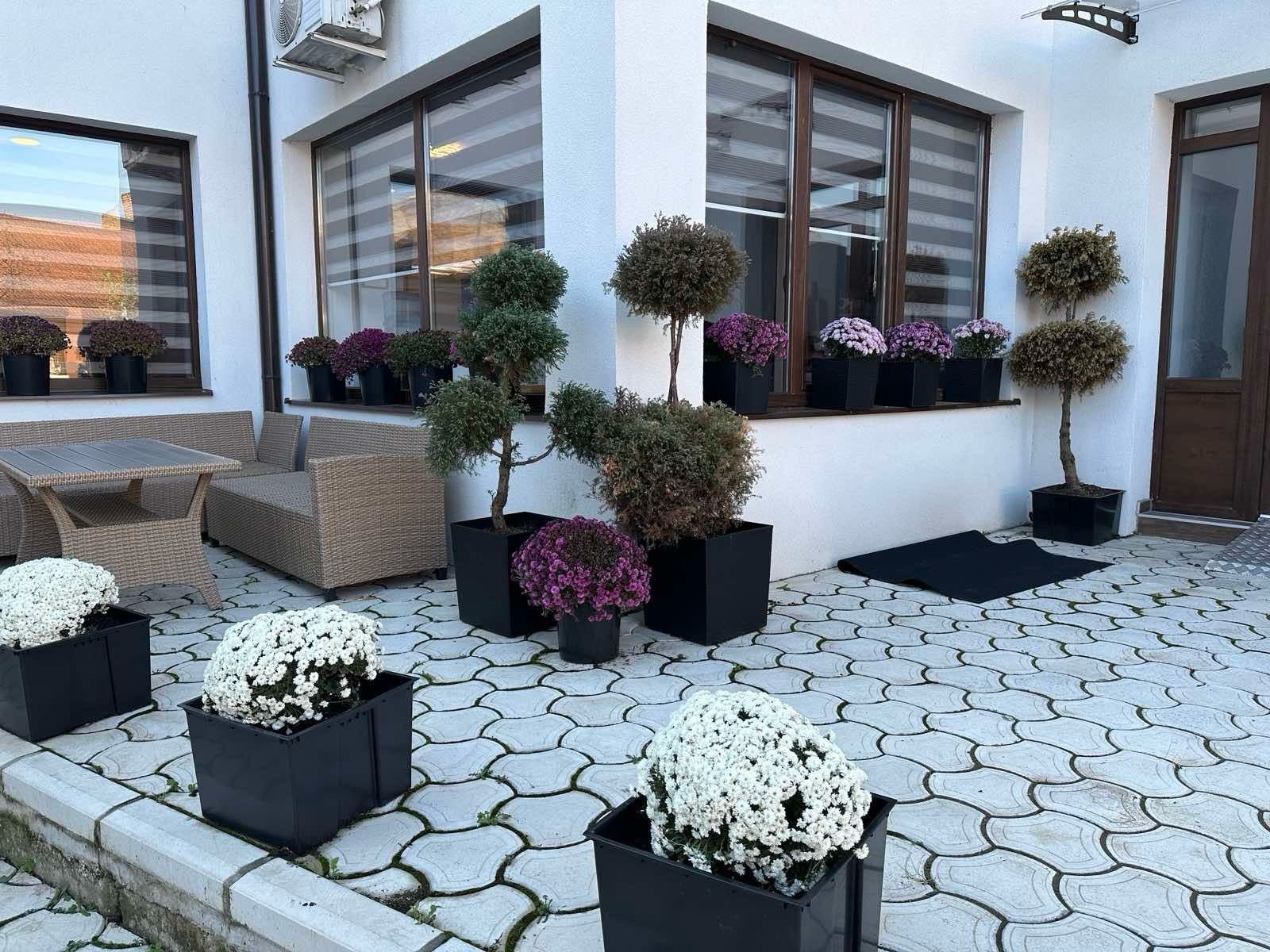 PHOTO-2023-11-19-19-01-18 2