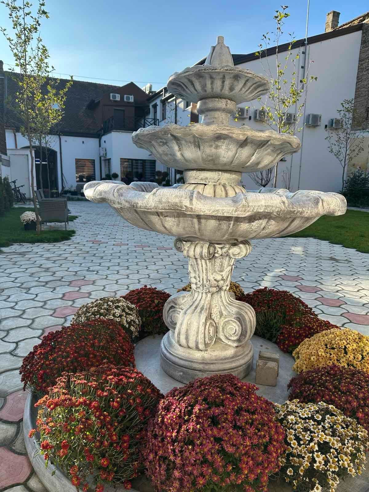 PHOTO-2023-11-19-19-01-18